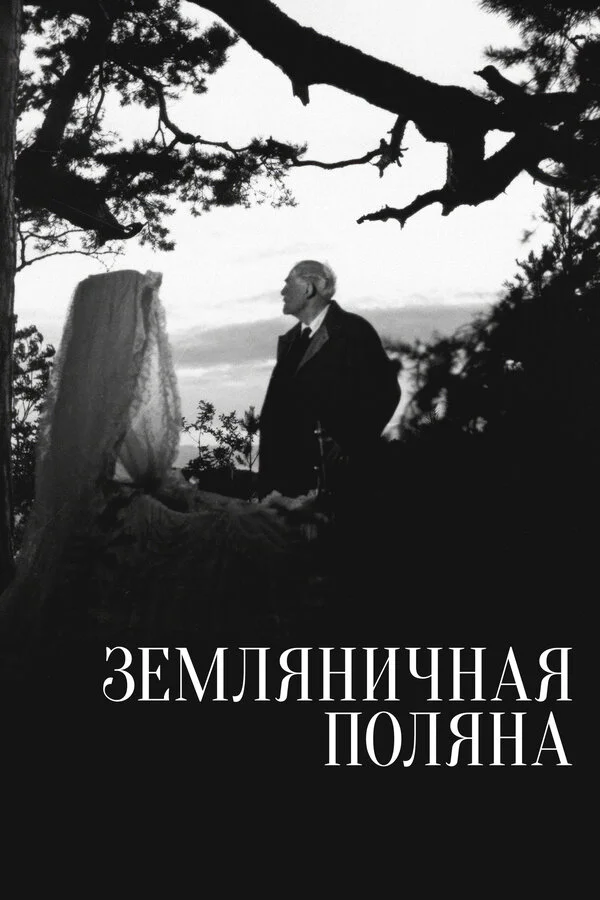 Земляничная поляна (1957) - смотреть онлайн